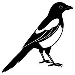 vector illustration of 