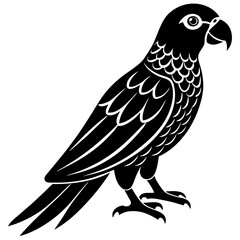 vector illustration of 
