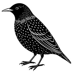 vector illustration of a bird