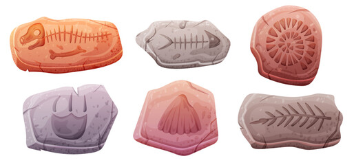 Set of stones with old dinosaur fossil skull, bones and foot © Yulia Zelinskaya