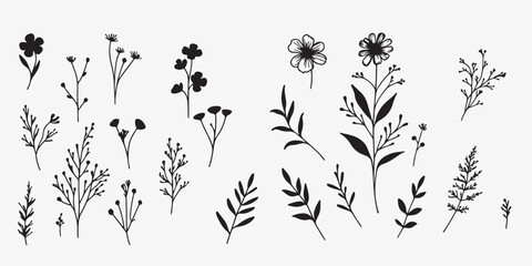 Wild Flower Graphics Vector silhouette illustration design black and white art 