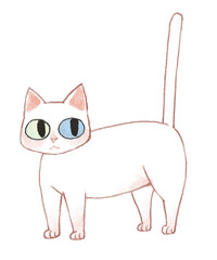 white cat