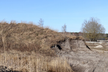 a sandy hill with dry grass and trees in the background under a clear blue sky.