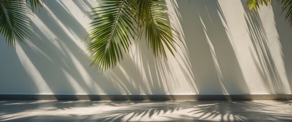 Bright Sunlit Palm Leaves Casting Shadows on a Wall with Space for Text in a Tropical Summer Travel Theme