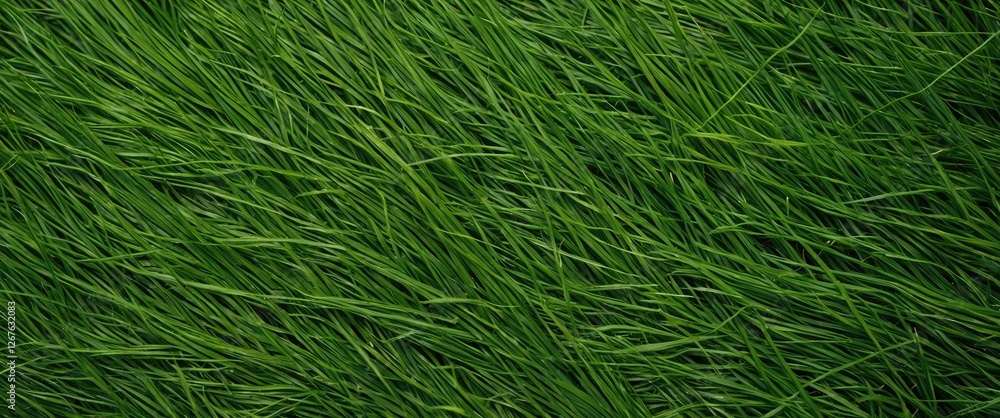 Leinwandbilder lush green artificial grass texture background with blank space for text overlay and design elements