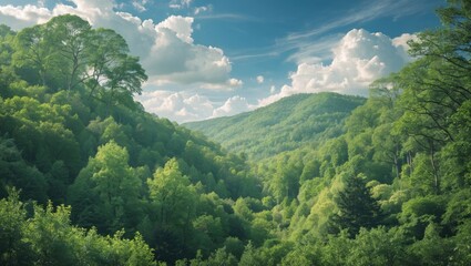 Lush Green Forest Landscape Under a Bright Blue Sky with Fluffy White Clouds in a Serene Mountainous Setting