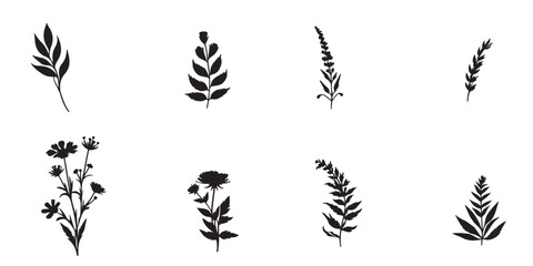 Wild Flower Graphics Vector silhouette illustration design black and white art 