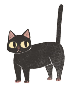 black cat