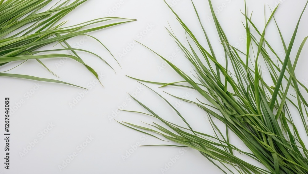 Poster Fresh Green Grass Isolated on White Background with Ample Blank Space for Text or Design Elements