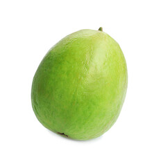 One fresh guava fruit isolated on white