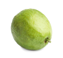 One fresh guava fruit isolated on white