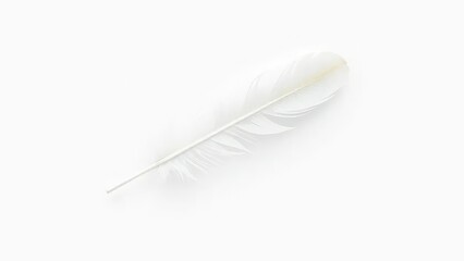 Single white feather isolated on a white background, airy, snowflake