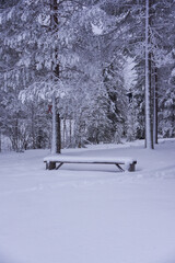 Panchina innevata