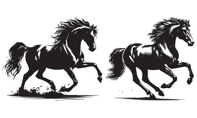 black horse vector illustration