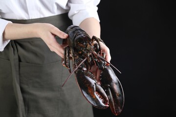 Woman with raw lobster on black background, closeup. Space for text