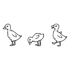 a black and white drawing of a cute cartoon ducklings for coloring page
