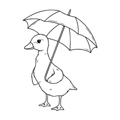 a black and white drawing of a cute cartoon duckling with umbrella for coloring page