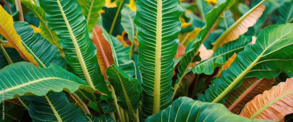 Poster vibrant cassava leaves featuring rich green colors and distinctive textures with blank space for cus