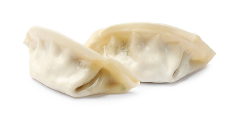 Fresh gyoza dumplings isolated on white. Chinese cuisine