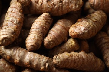 Many fresh turmeric roots as background, closeup