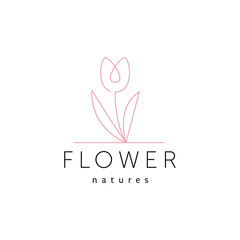 flower line tulip line logo design vector