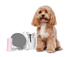 Cute dog and grooming tools on white background