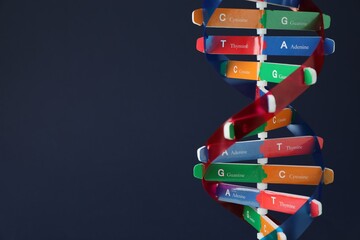 DNA structure model on dark background, closeup. Space for text