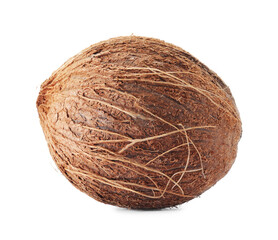 One whole coconut in shell isolated on white