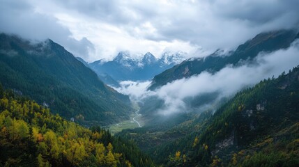 Obraz premium Lush mountains shrouded in clouds rise above a serene valley, creating a breathtaking landscape that embodies nature's beauty and tranquility.