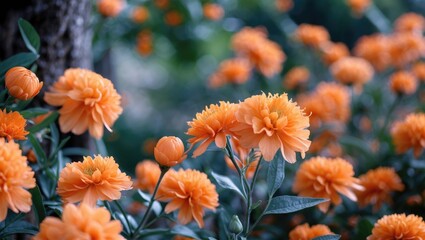 Vibrant orange flowers in a lush garden showcasing shallow depth of field and rich greenery for a serene natural ambiance.