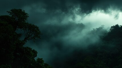 Fototapeta premium A mysterious and moody landscape featuring dense foliage and low-hanging mist, creating an atmosphere of tranquility and intrigue, Ideal for nature-themed projects, travel brochures