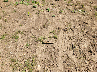 There are dried footprints on the ground and rivulets from the rain.