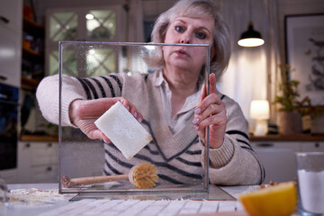 a woman washes a glass tray with natural brushes and detergents, eco-cleaning