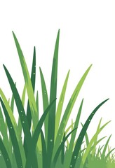 Fresh Green Grass Blades, Dew Drops, White Background, Minimalist Flat Color Illustration, Copy Space for Text
