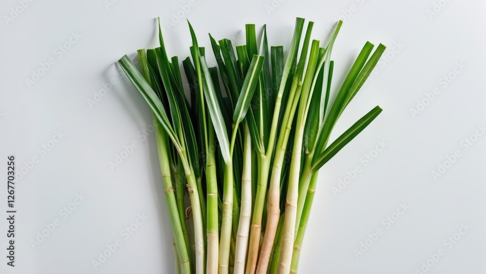 Poster fresh green scallions or spring onions arranged on a light background with plenty of copy space for 