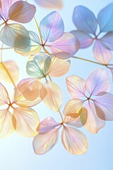 Fototapeta premium Macro shot of shimmering petals illuminated by sunlight, showcasing vibrant hues and delicate details. Nature's artistry unveiled in stunning brilliance.