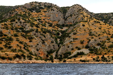 Mountain rock slope covered with yellow grass, green bushes and trees. Alps, Croatia