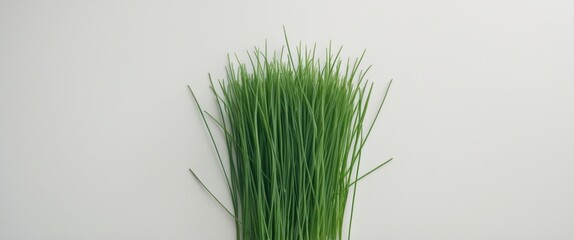 Fototapeta premium Fresh green chives on a neutral background with copy space for text placement Harvested herbs for culinary use