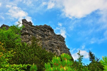 Widok górski w Polsce,panorama .