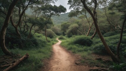 Fototapeta premium Winding dirt path through lush green forest with dense trees surrounding it and mountain in the background Copy Space