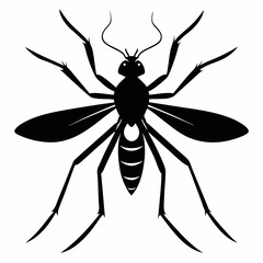 Fototapeta premium Mosquito vector silhouette black design white background