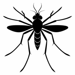 Mosquito vector silhouette black design white background