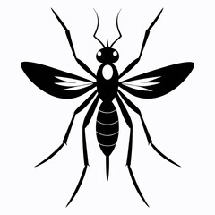 Mosquito vector silhouette black design white background