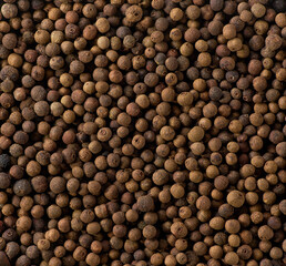 Dry Jamaican pepper seeds, top view. Flat design. Macro spice background allspice or Jamaican...
