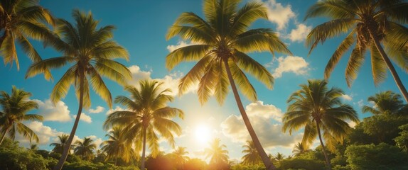 Tropical landscape with palm trees against a bright sunset sky and fluffy clouds, natural light, vibrant colors, Copy Space
