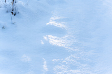 A snow covered ground with a shadow of a person. The snow is white
