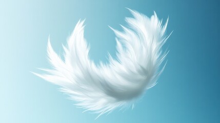 Obraz premium White Feather on Blue Background