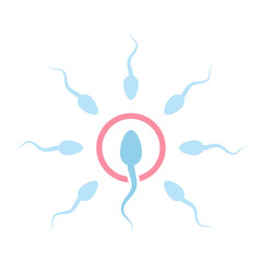 Male sperm fertilize female egg icon