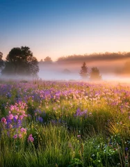 Fototapeten Morning mist envelops a colorful wildflower meadow at sunrise in a serene landscape © Vladyslav