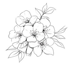 Fototapeta premium Elegant Flower Cluster Line Art Floral Arrangement for Coloring Books Botanical Illustration Design